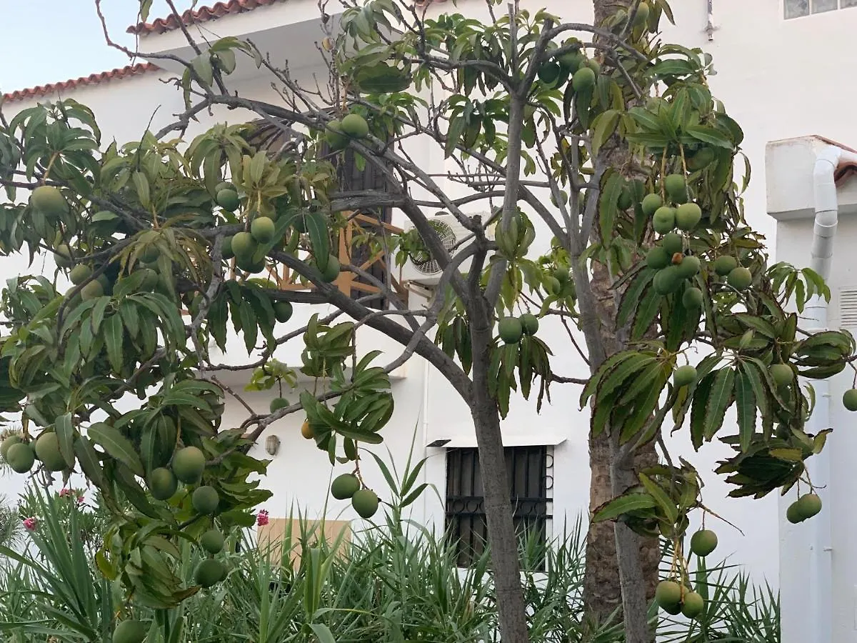 Ocean Beach Paradise Apartment Costa Adeje  Spain